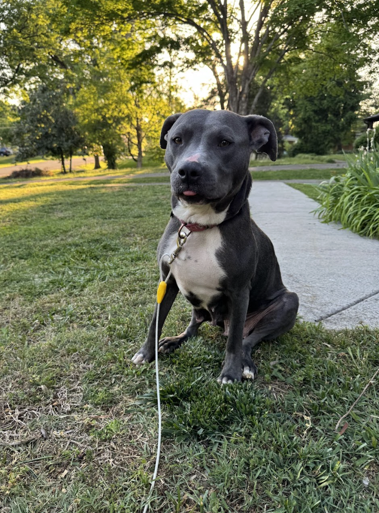 Screenshot 2026-04-22 at 3.37.33 PM.png