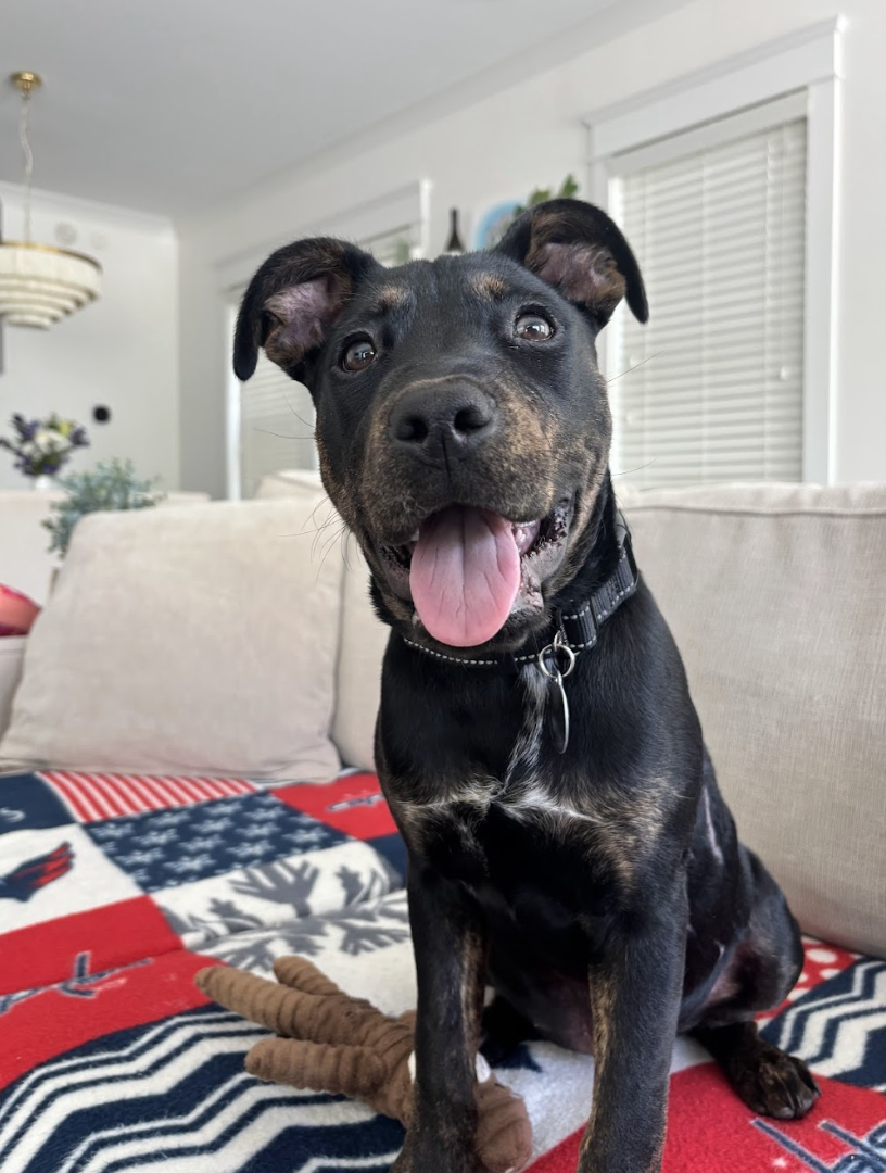 Screenshot 2026-04-23 at 8.12.53 PM.png