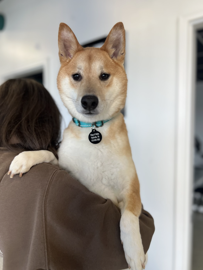 Screenshot 2026-03-21 at 2.02.38 PM.png