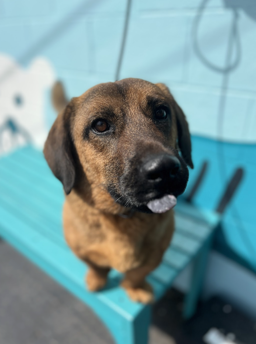 Screenshot 2026-03-14 at 5.47.29 PM.png