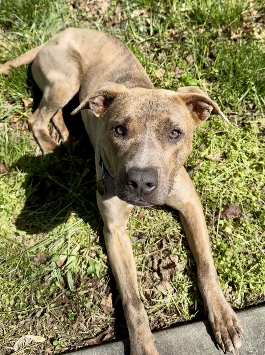 Screenshot 2026-04-08 at 3.15.35 PM.png