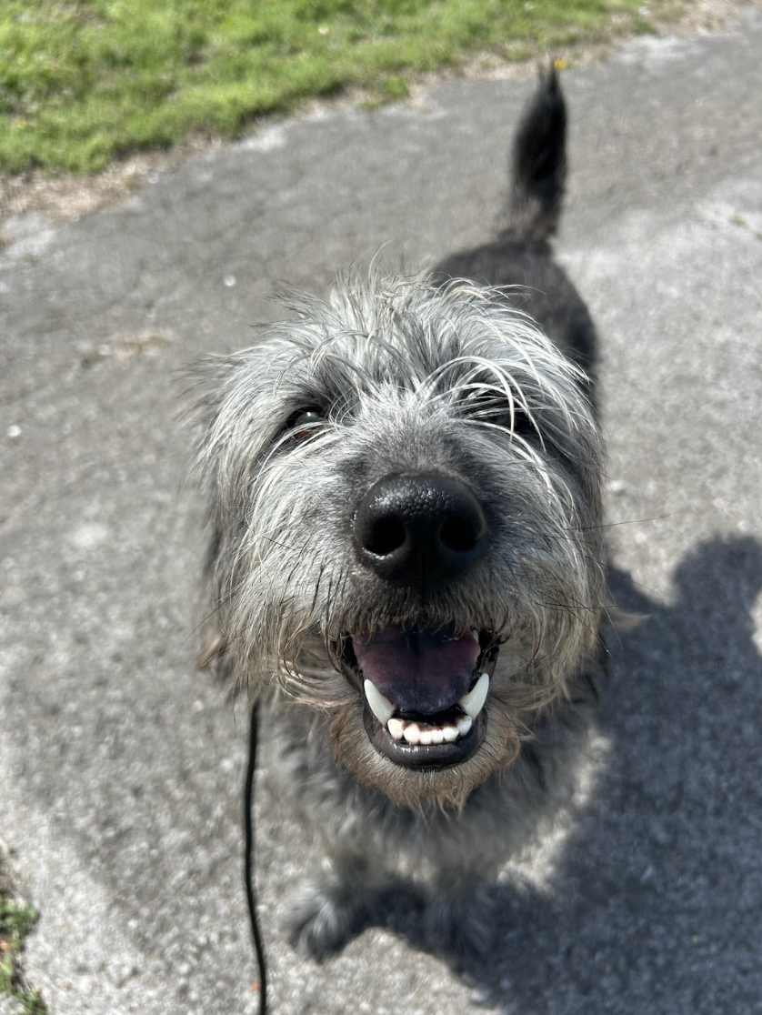 Screenshot 2026-03-14 at 4.49.06 PM.png