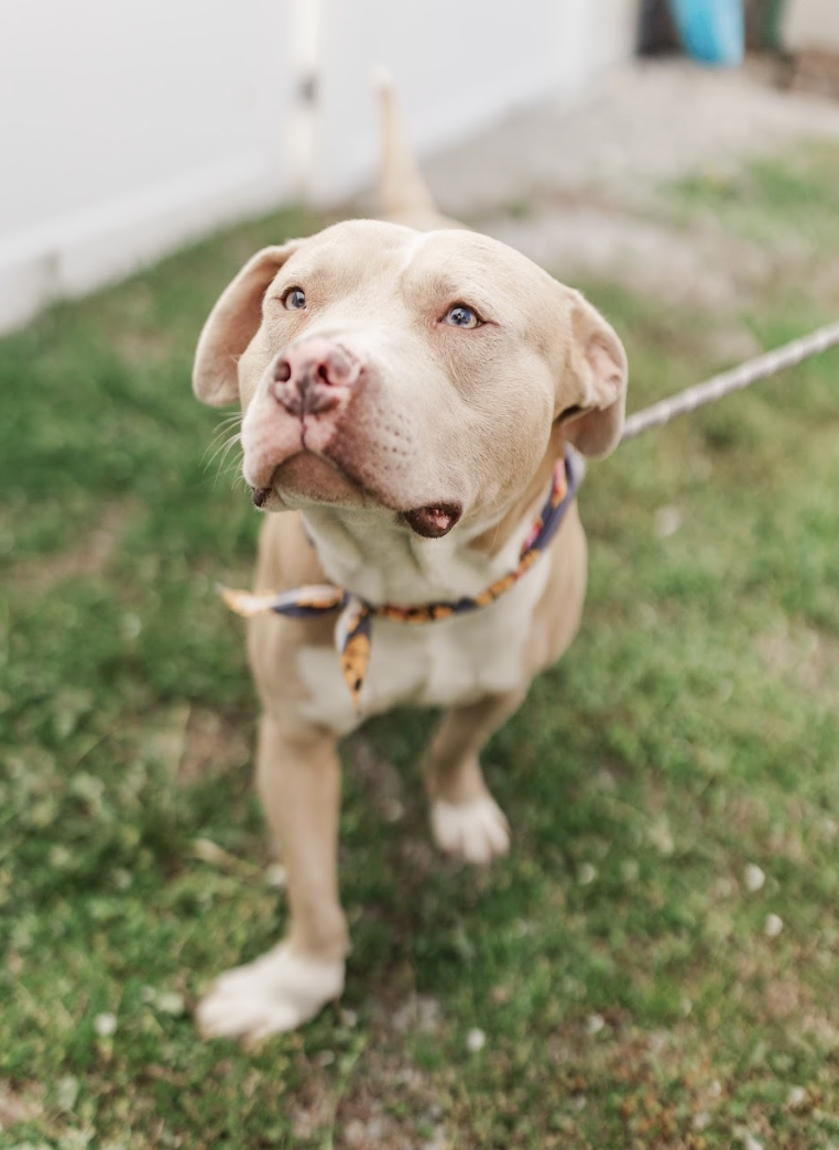 Screenshot 2026-03-24 at 12.42.57 PM.png