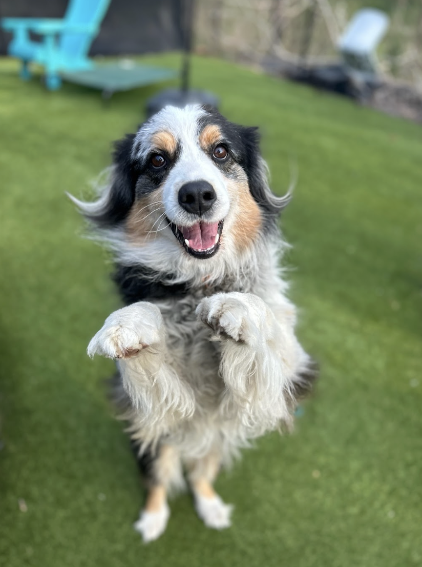 Screenshot 2026-03-05 at 2.26.01 PM.png