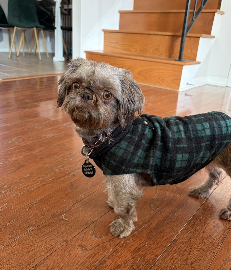 Screenshot 2026-01-26 at 12.18.03 PM.png