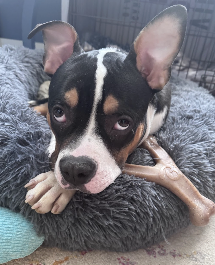 Screenshot 2026-03-06 at 2.21.13 PM.png