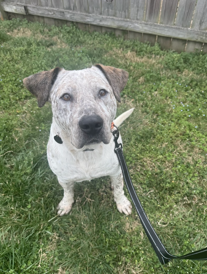 Screenshot 2026-03-10 at 9.23.24 PM.png