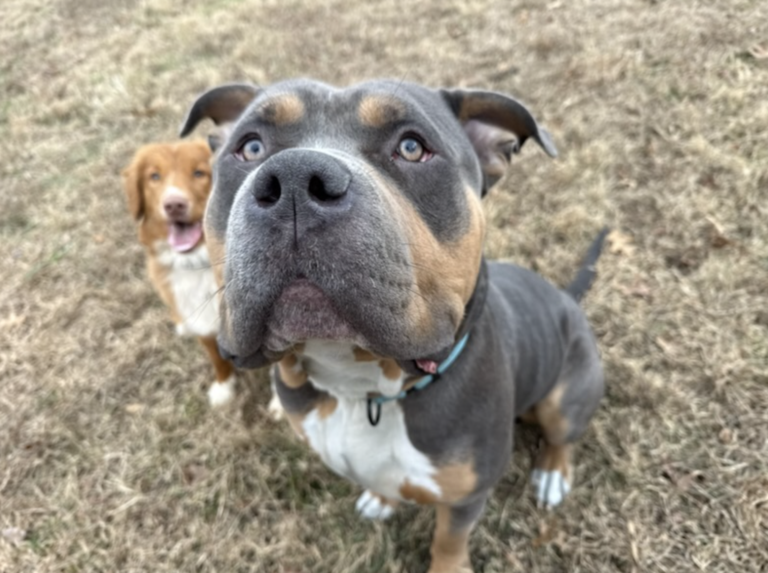 Screenshot 2025-12-16 at 3.44.09 PM.png