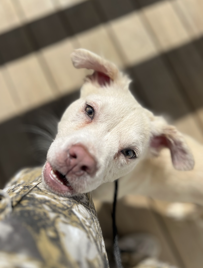 Screenshot 2026-03-26 at 2.09.36 PM.png