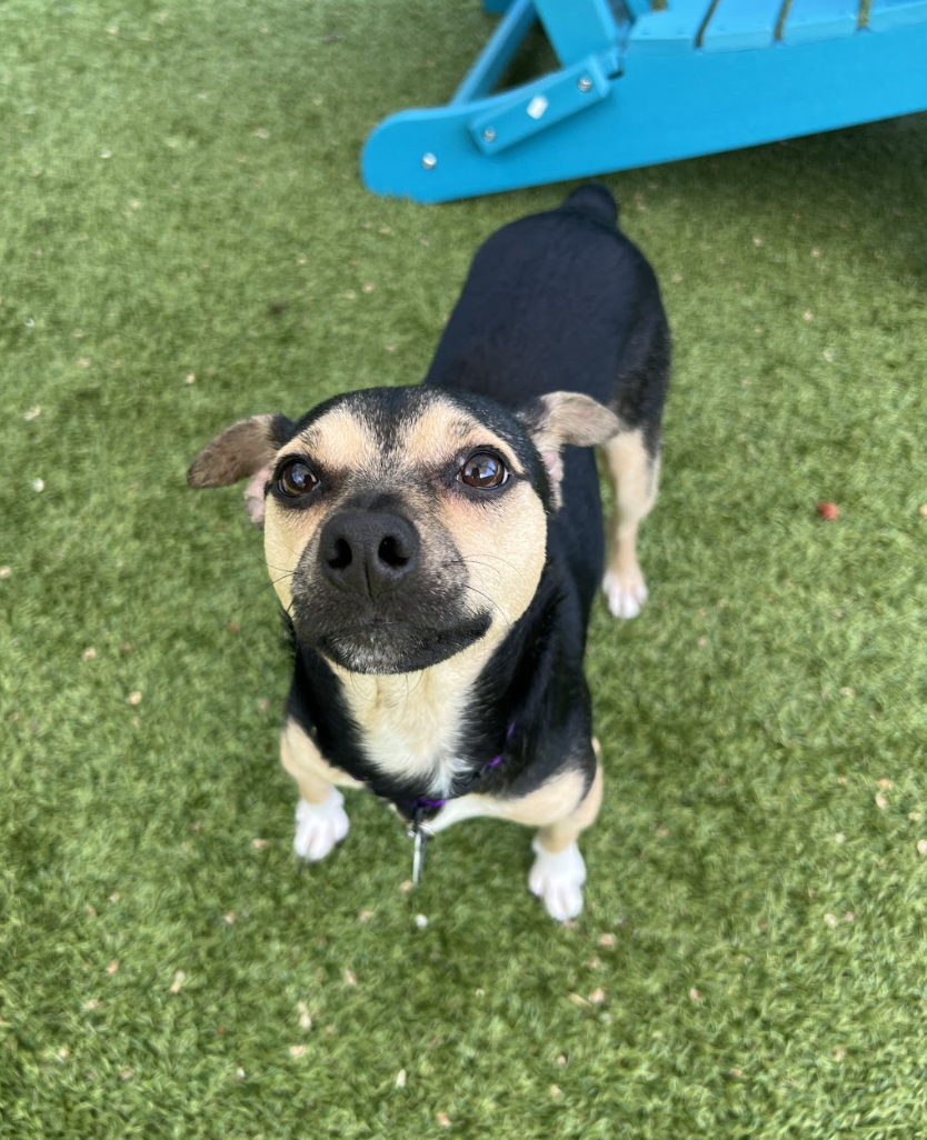 Screenshot 2026-04-09 at 6.49.45 PM.png