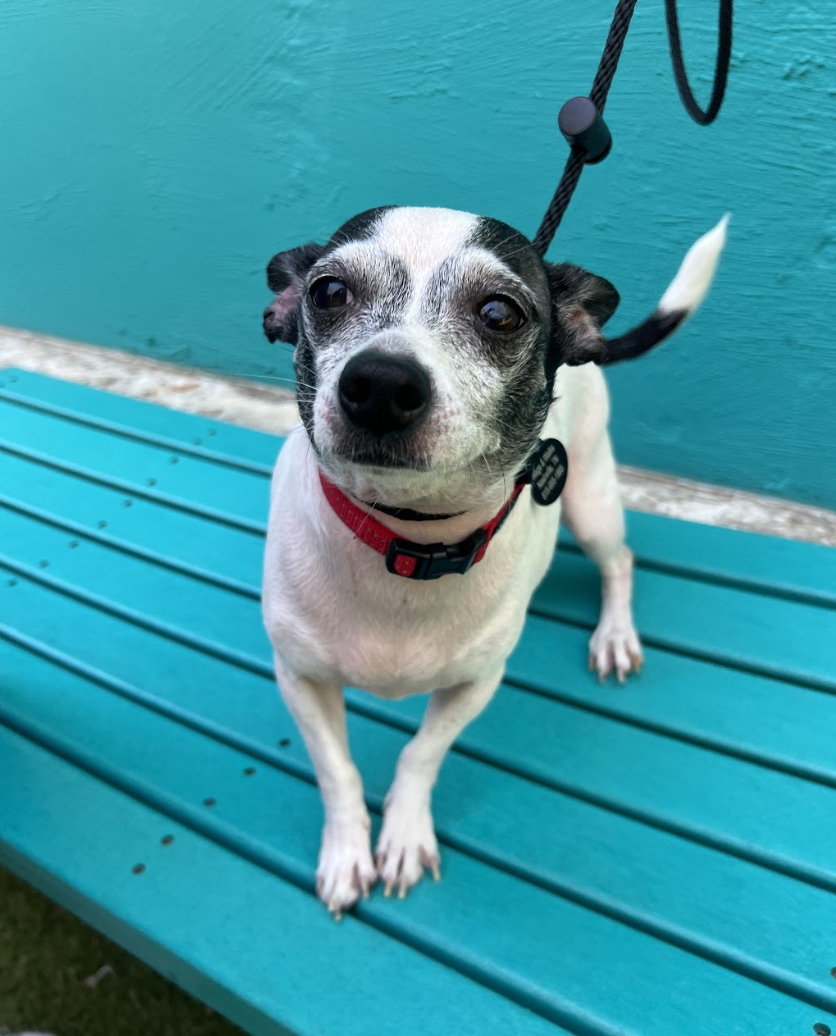 Screenshot 2026-04-10 at 2.44.12 PM.png