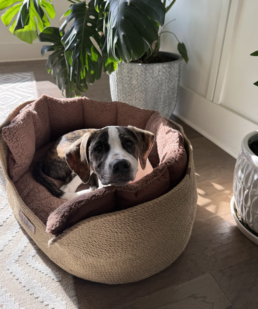 Screenshot 2026-01-14 at 9.18.06 PM.png