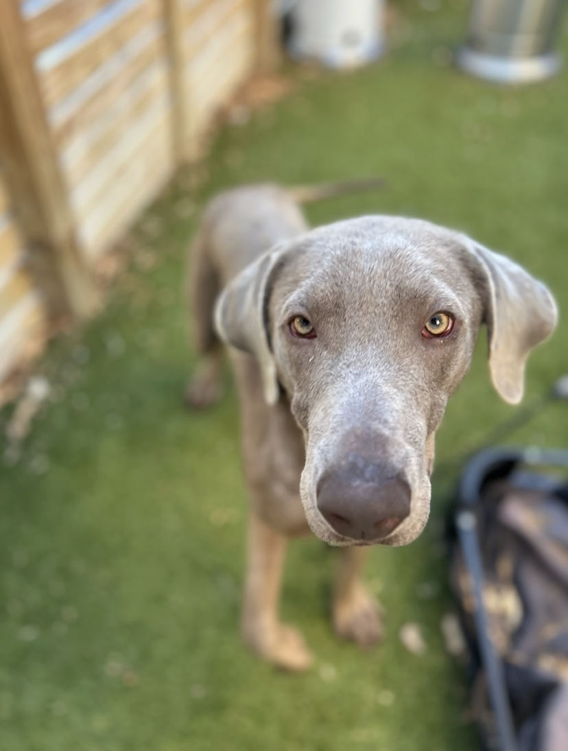 Screenshot 2026-04-23 at 1.49.59 PM.png