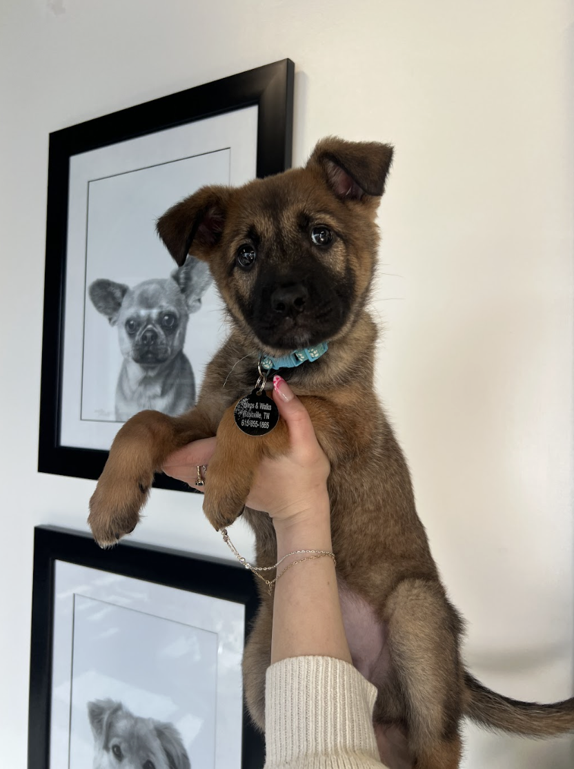 Screenshot 2026-02-12 at 4.41.25 PM.png