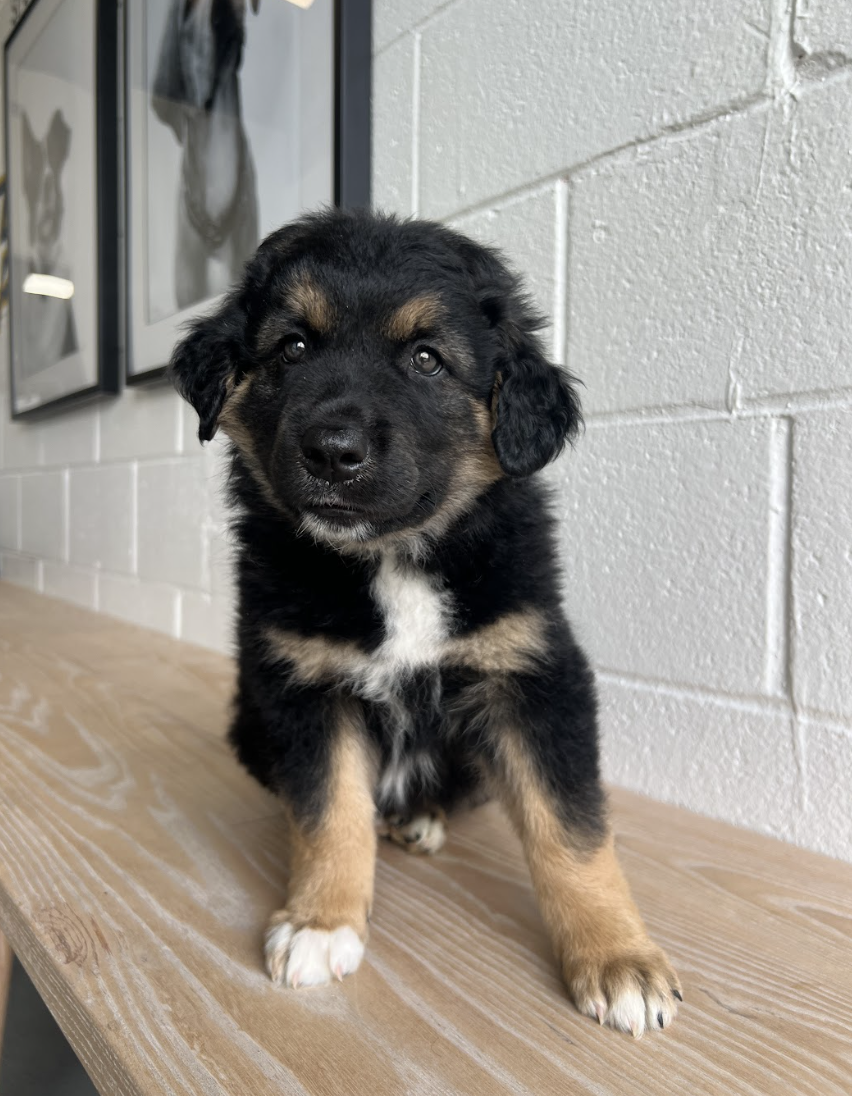 Screenshot 2026-04-16 at 4.14.10 PM.png