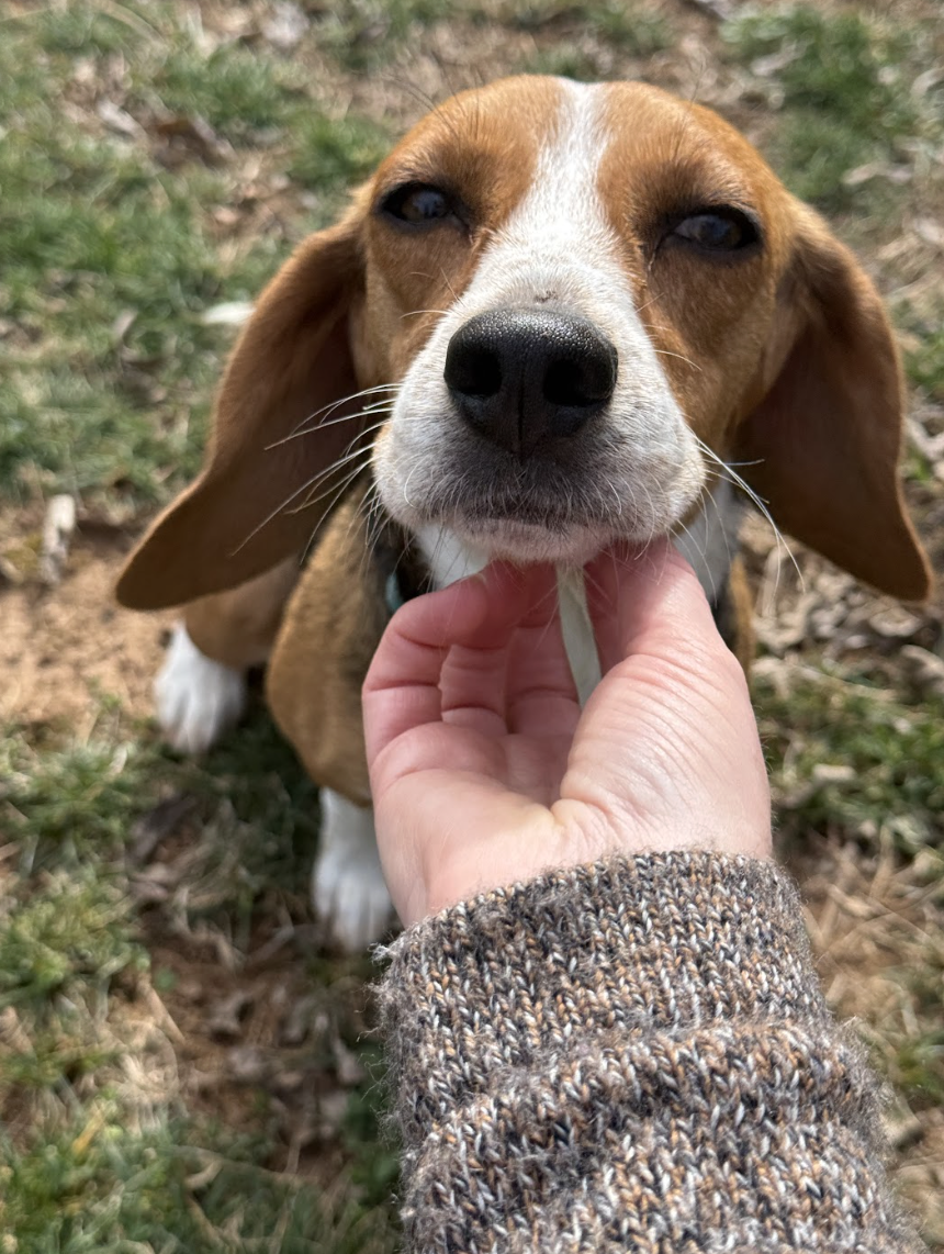 Screenshot 2026-02-21 at 4.33.44 PM.png