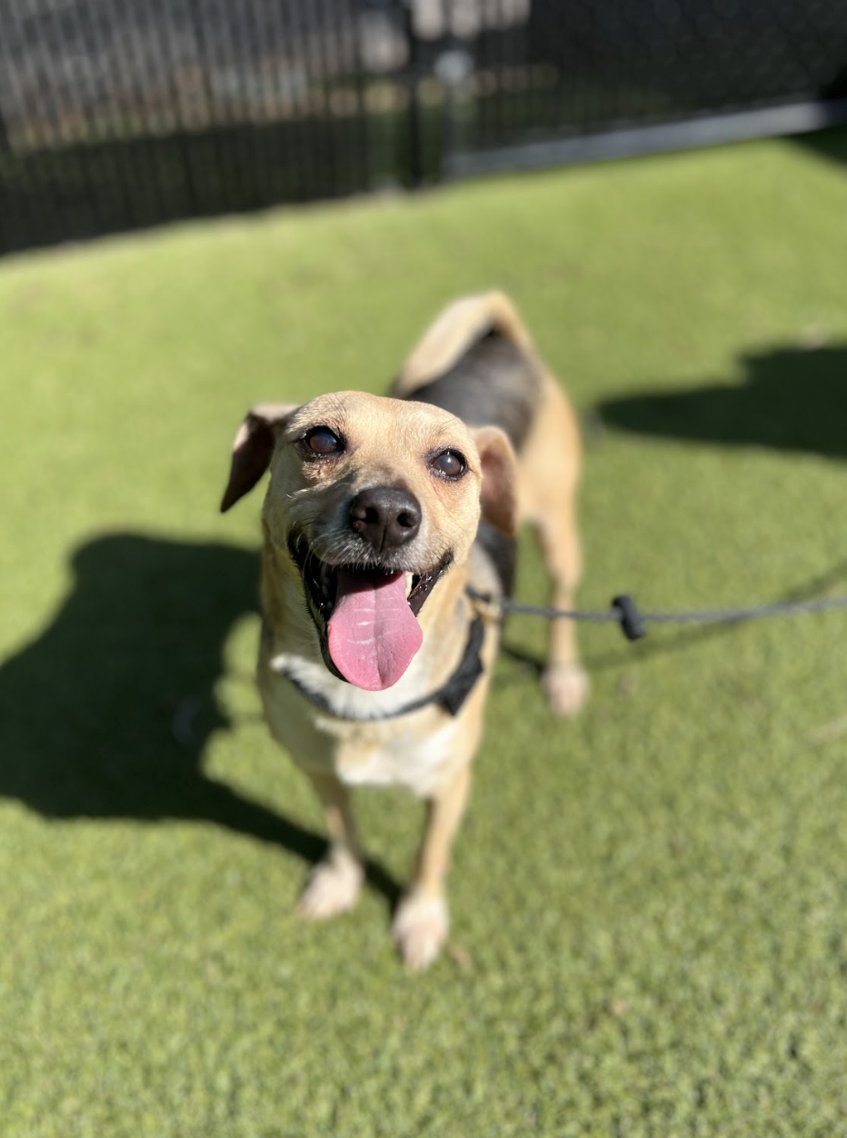 Screenshot 2026-04-23 at 2.33.51 PM.png