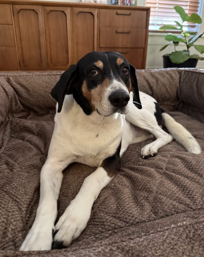 Screen Shot 2026-02-26 at 4.06.36 PM.png