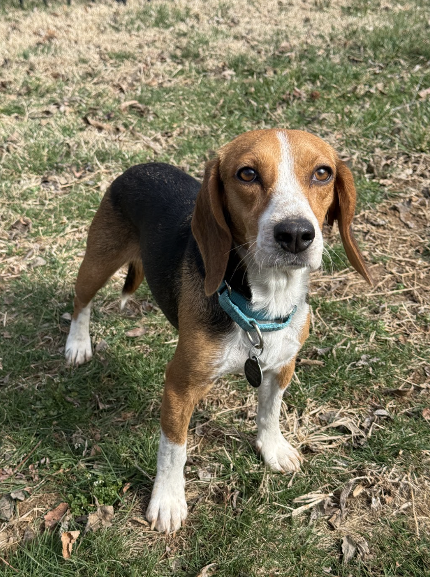 Screenshot 2026-02-21 at 4.33.37 PM.png