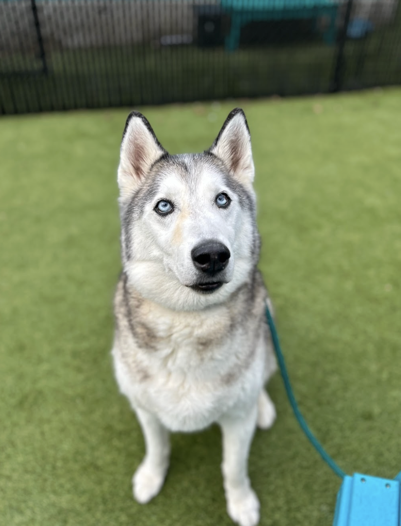 Screenshot 2026-03-11 at 6.44.41 PM.png