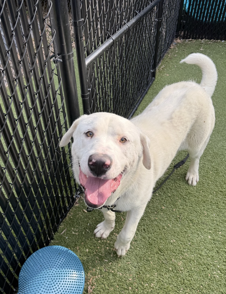 Screenshot 2026-04-09 at 6.48.15 PM.png