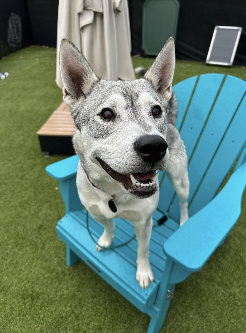 Screenshot 2026-03-11 at 6.39.58 PM.png