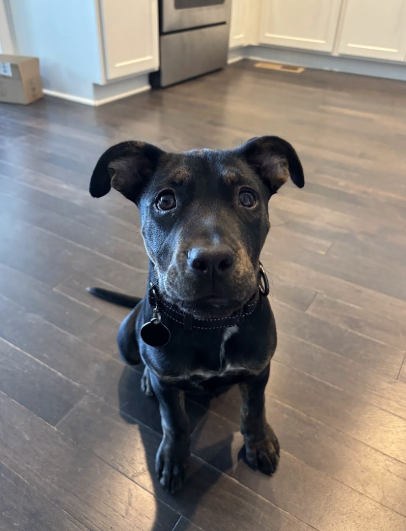 Screenshot 2026-04-03 at 1.09.57 PM.png