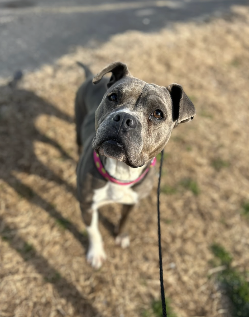 Screenshot 2026-02-25 at 12.58.30 PM.png