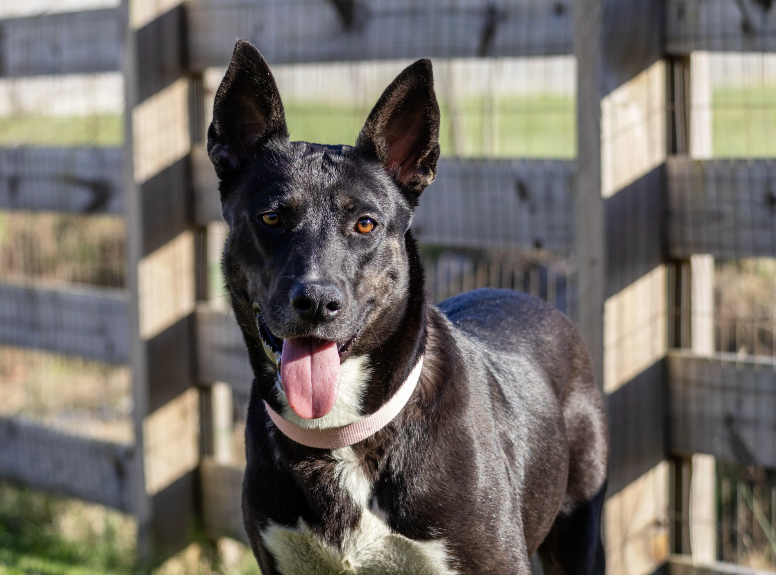 Screenshot 2026-03-17 at 12.20.23 PM.png