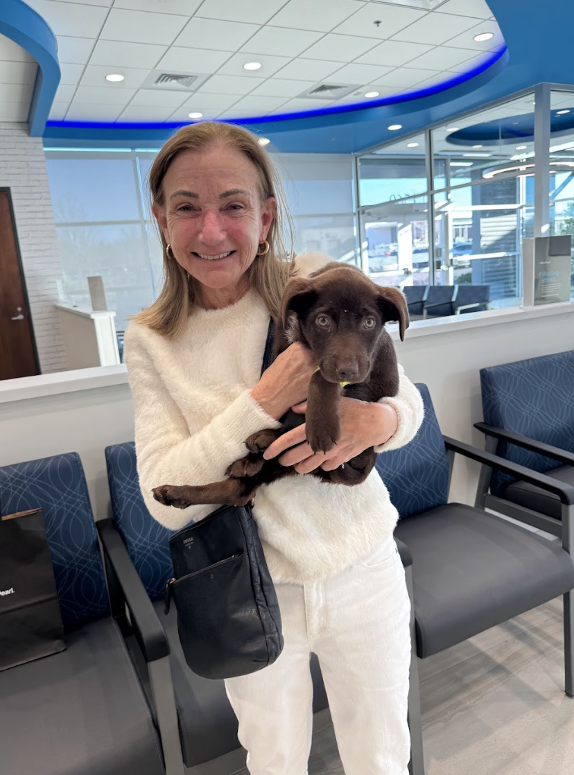 Screenshot 2026-02-20 at 4.01.06 PM.png