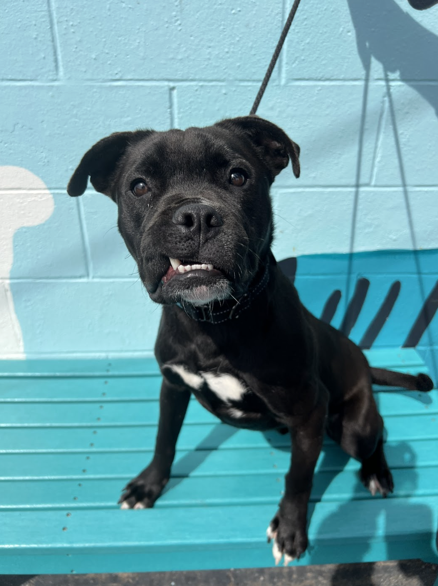 Screenshot 2026-03-14 at 4.59.22 PM.png