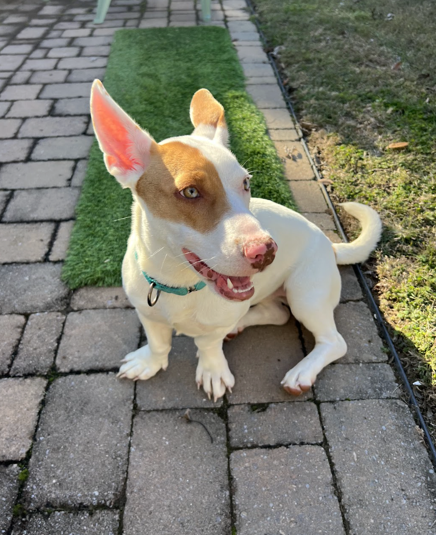 Screenshot 2026-01-14 at 9.13.51 PM.png