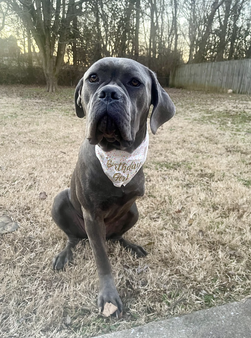 Screenshot 2026-04-22 at 2.57.15 PM.png