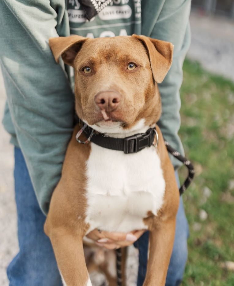 Screenshot 2026-03-20 at 2.31.08 PM.png