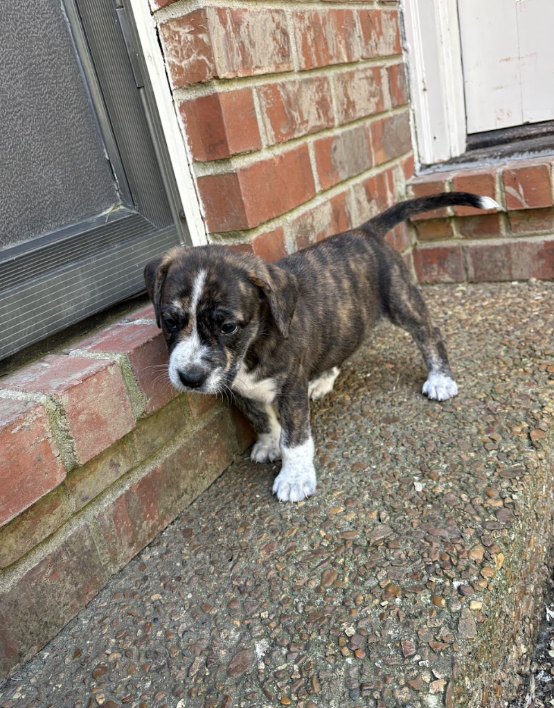 Screenshot 2026-03-27 at 7.59.24 PM.png