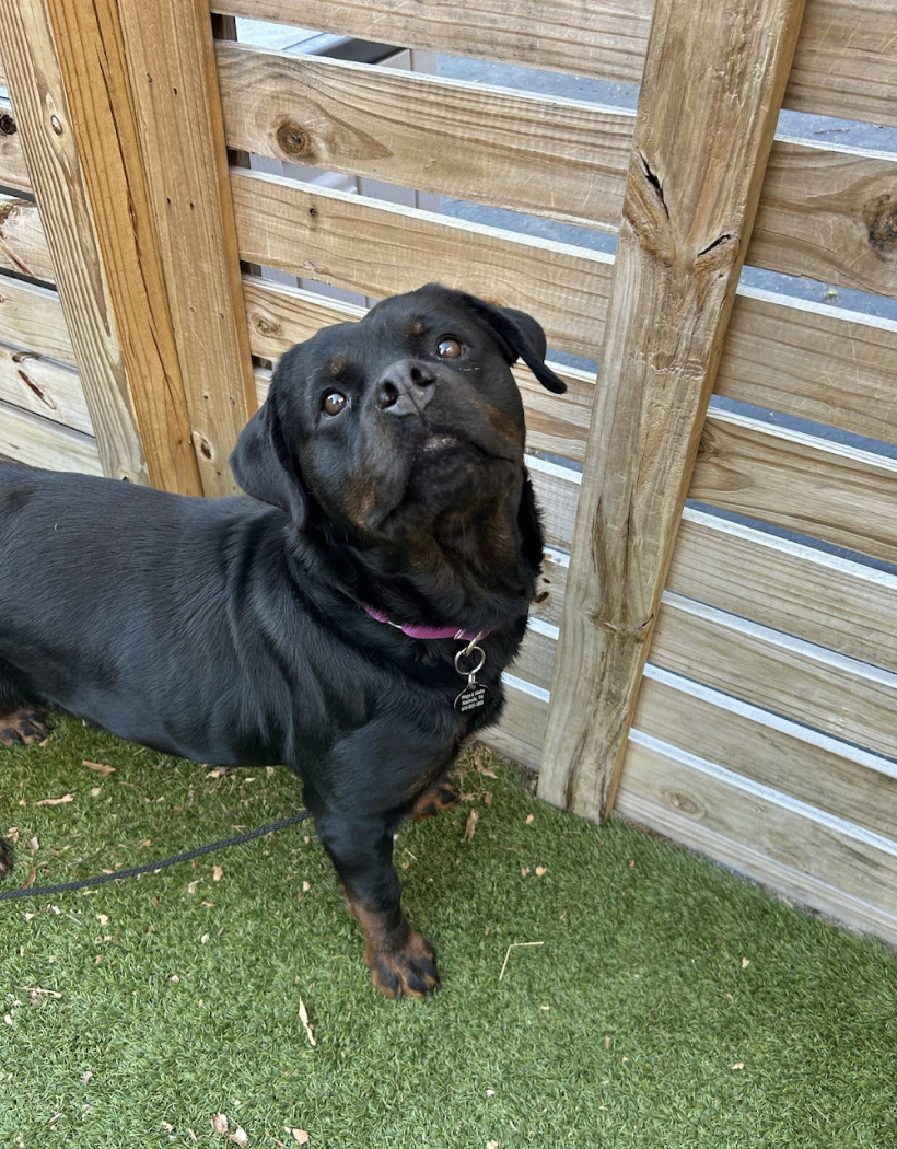 Screenshot 2026-04-23 at 1.54.25 PM.png