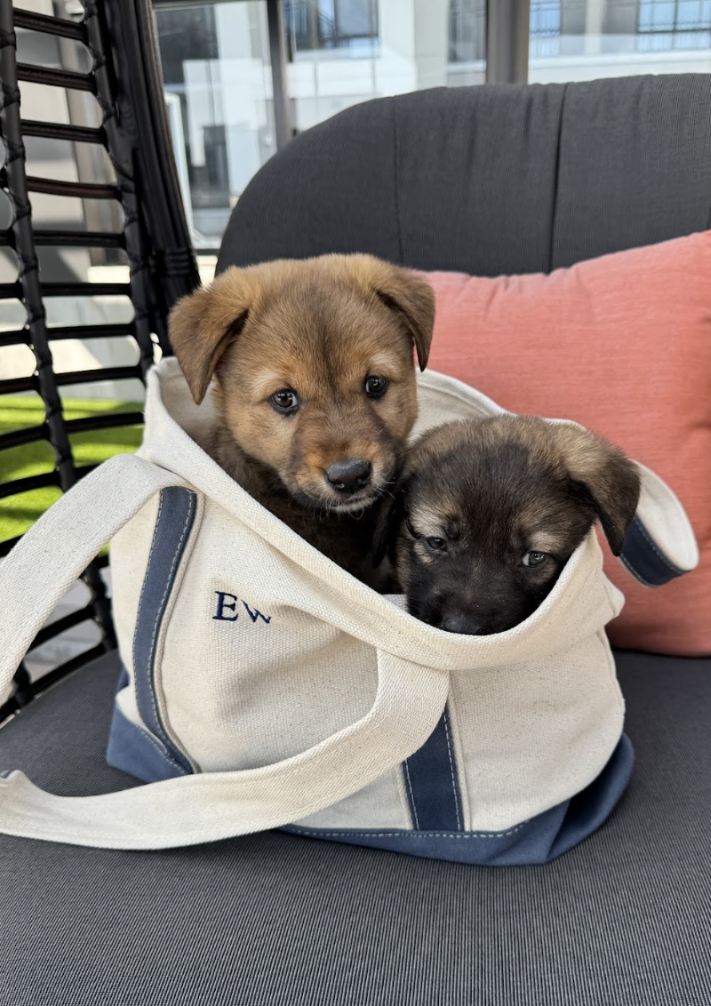 Screenshot 2026-03-05 at 6.17.53 PM.png