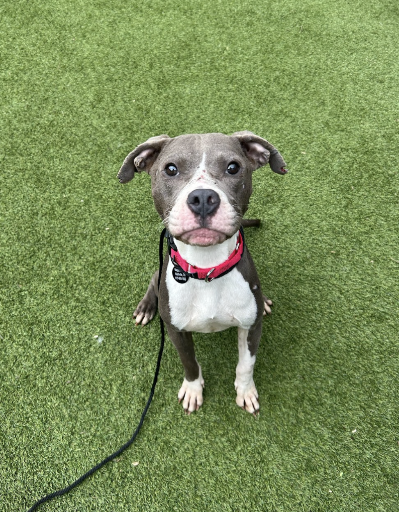 Screenshot 2026-03-11 at 6.51.37 PM.png