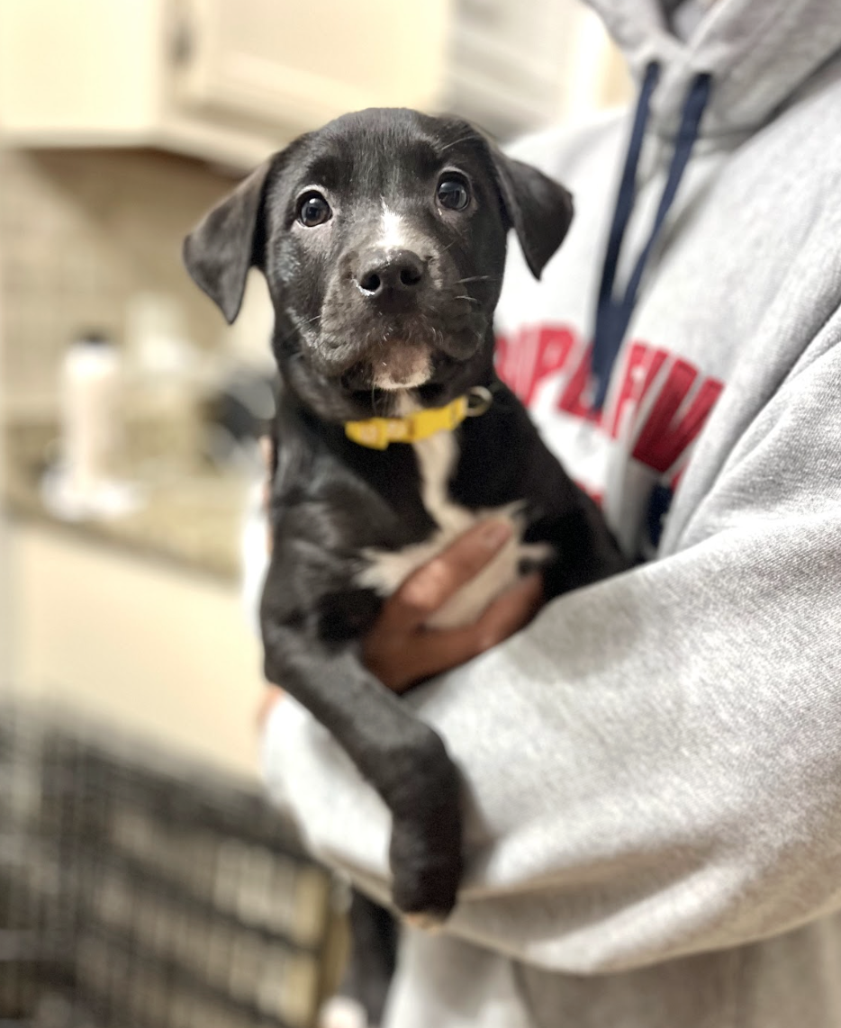 Screenshot 2026-01-07 at 1.16.35 PM.png