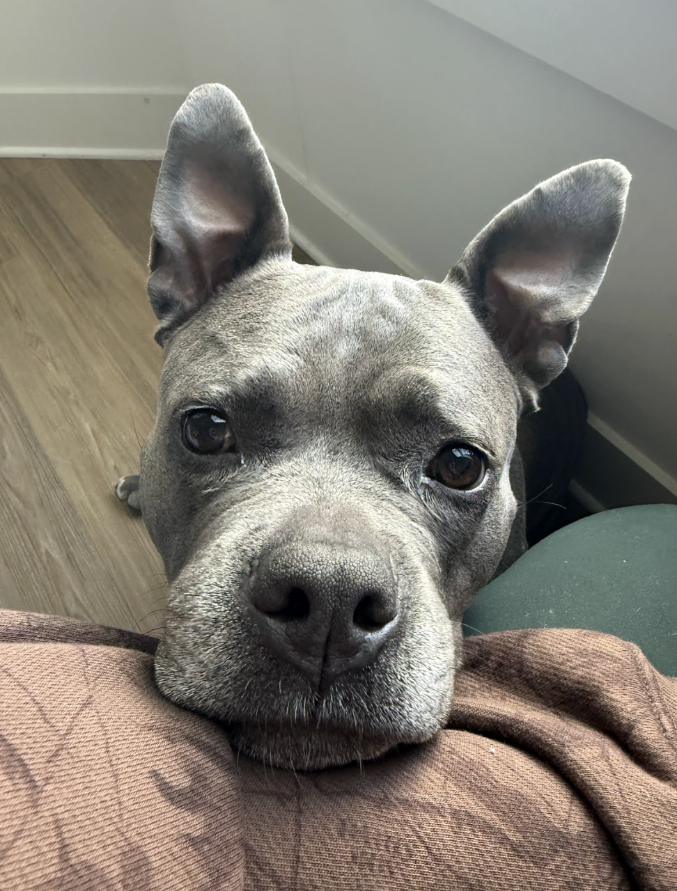 Screenshot 2026-02-16 at 6.12.51 PM.png