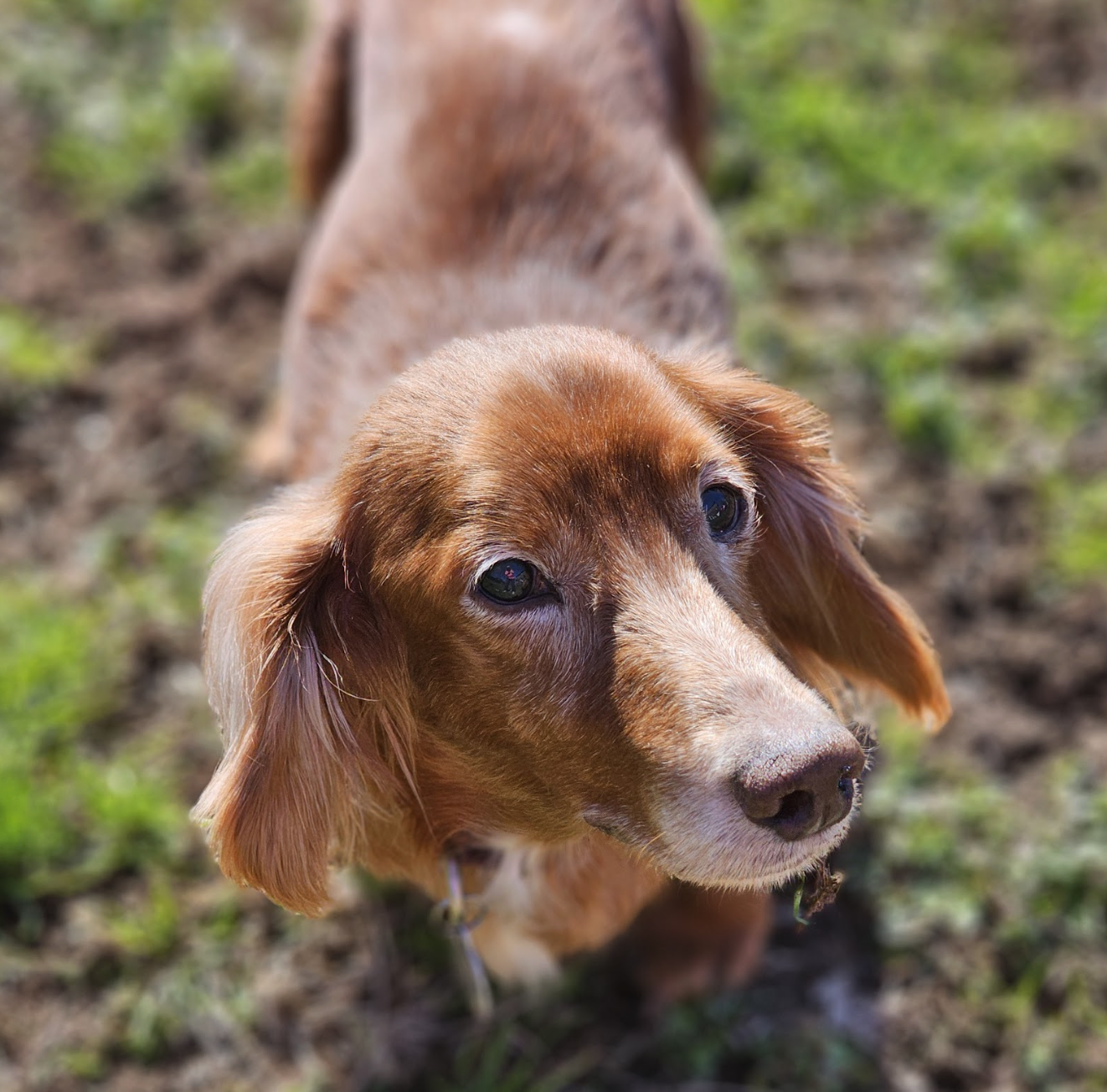 Screenshot 2026-02-16 at 7.01.48 PM.png