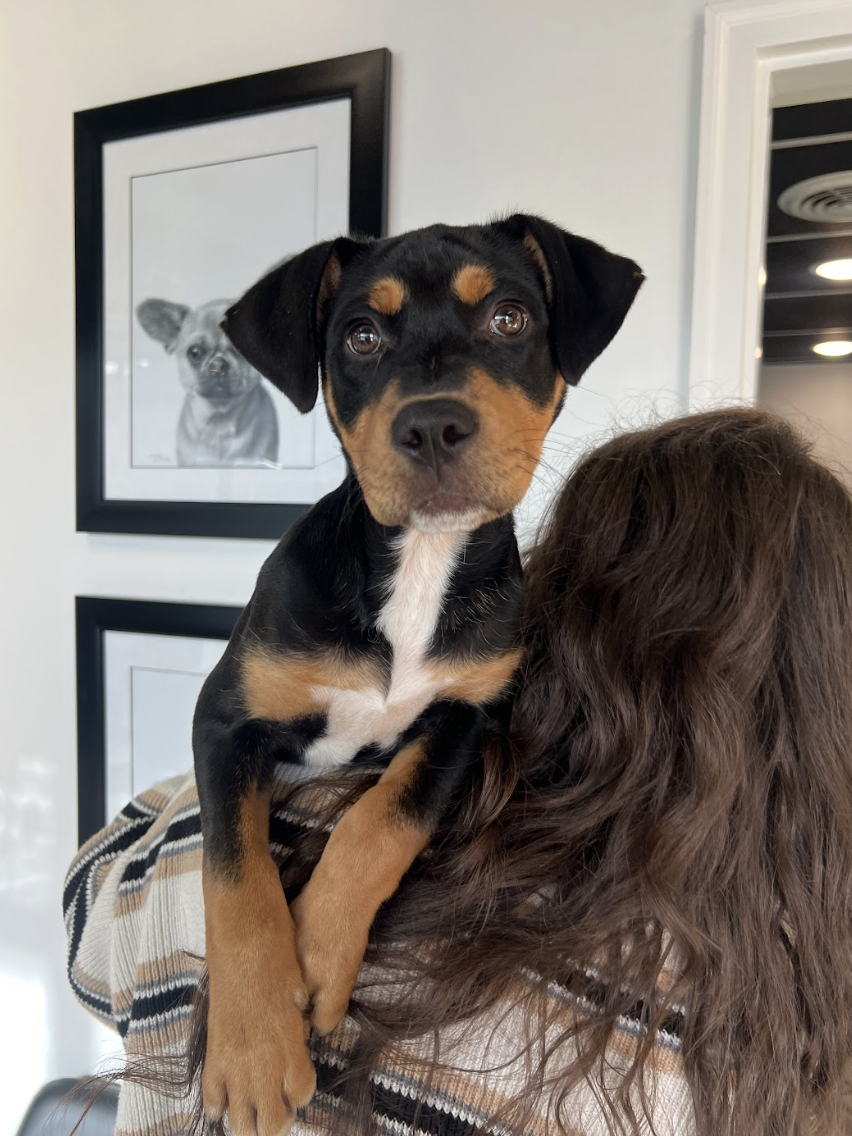 Screenshot 2026-02-12 at 5.07.03 PM.png