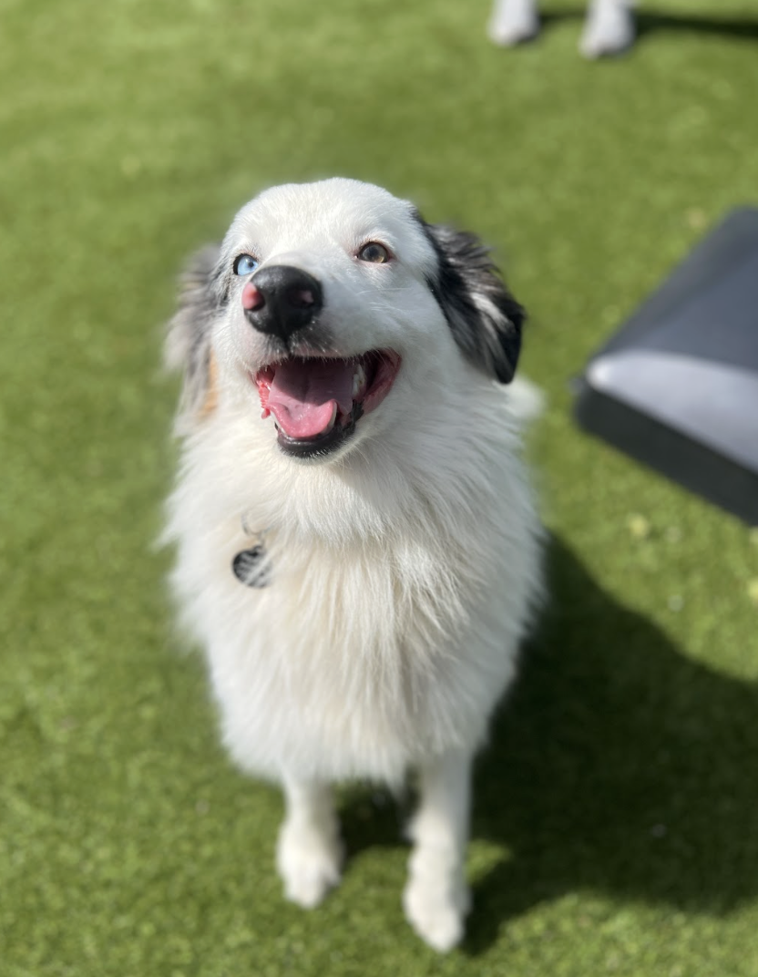 Screenshot 2026-03-14 at 4.41.35 PM.png