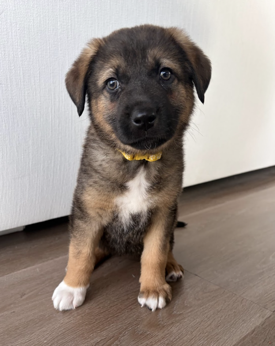 Screenshot 2026-03-05 at 6.08.43 PM.png