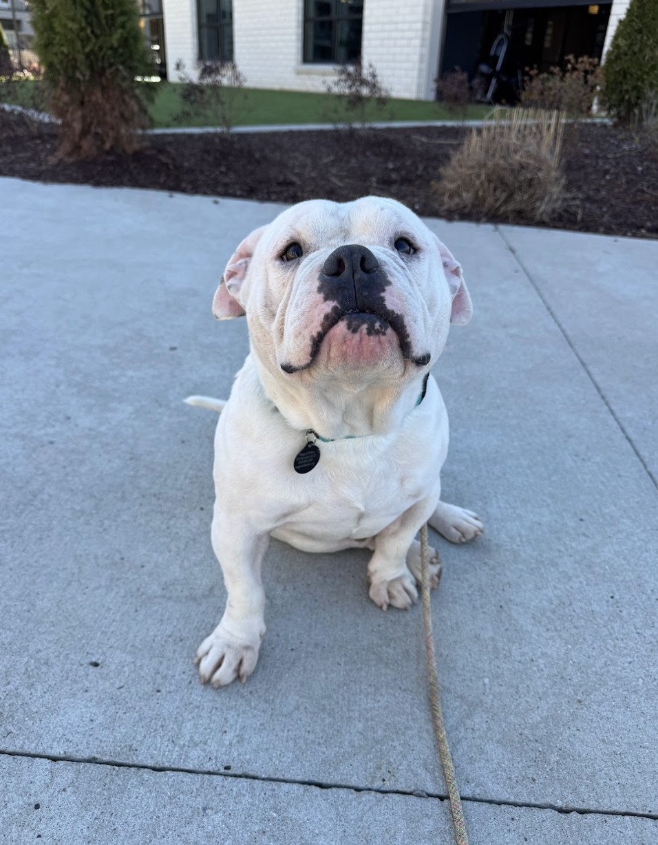 Screenshot 2026-02-16 at 6.08.05 PM.png