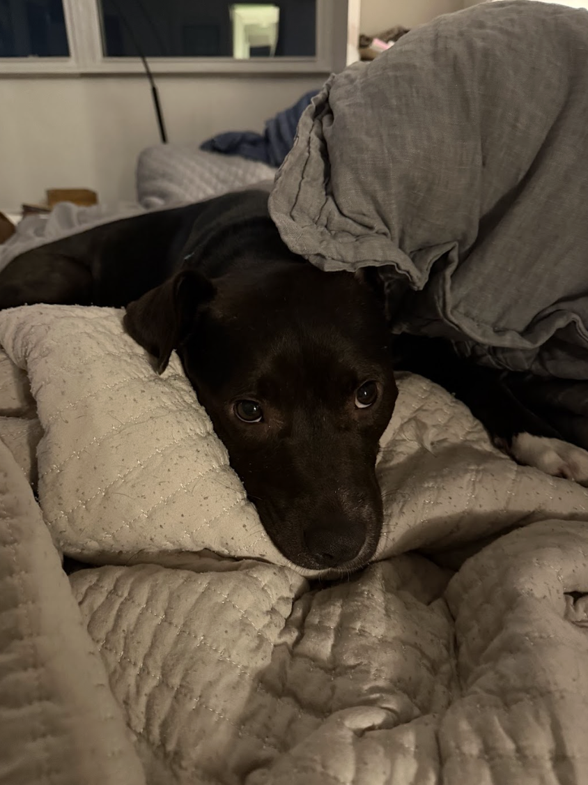 Screenshot 2026-01-14 at 1.55.28 PM.png