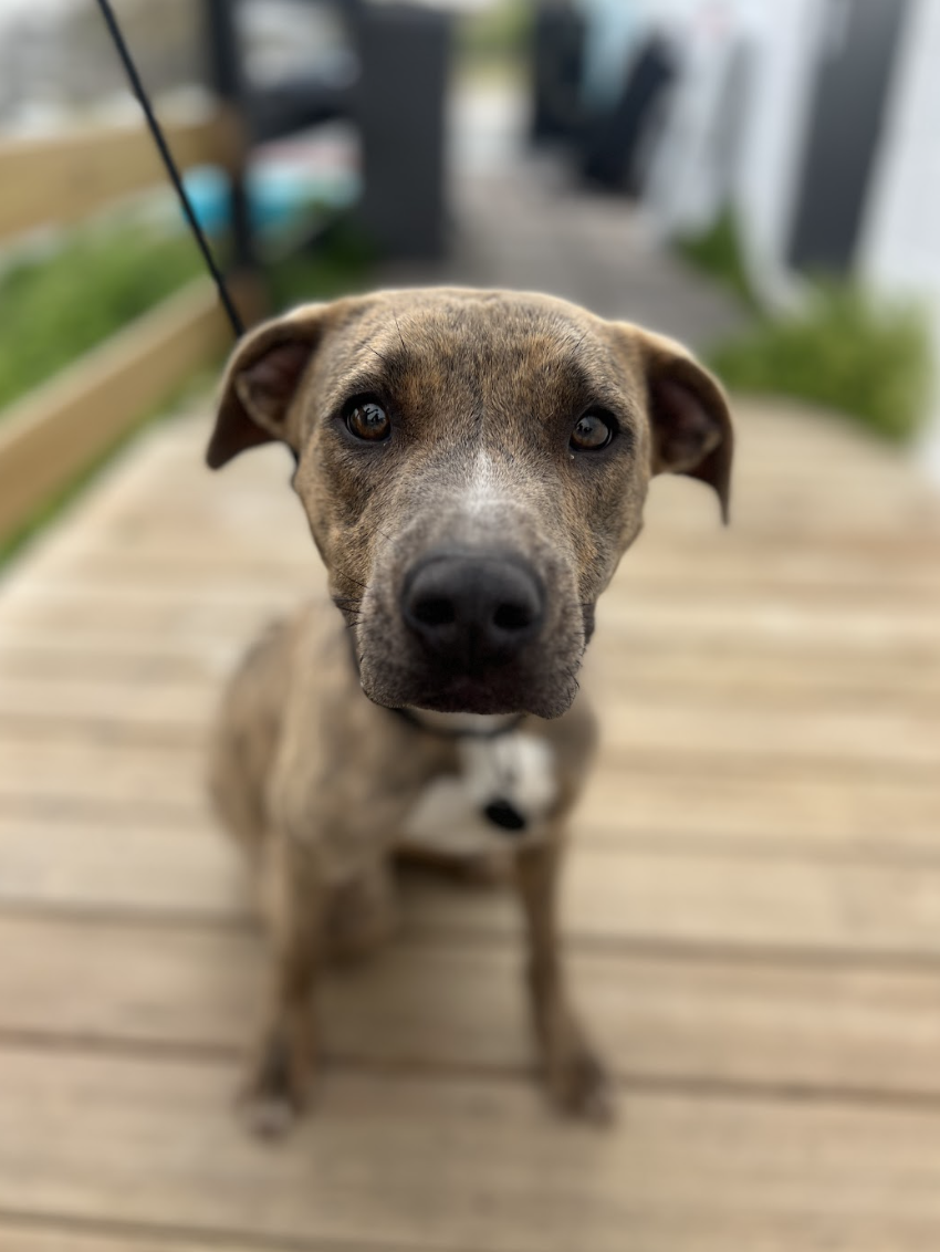 Screenshot 2026-03-26 at 3.08.29 PM.png