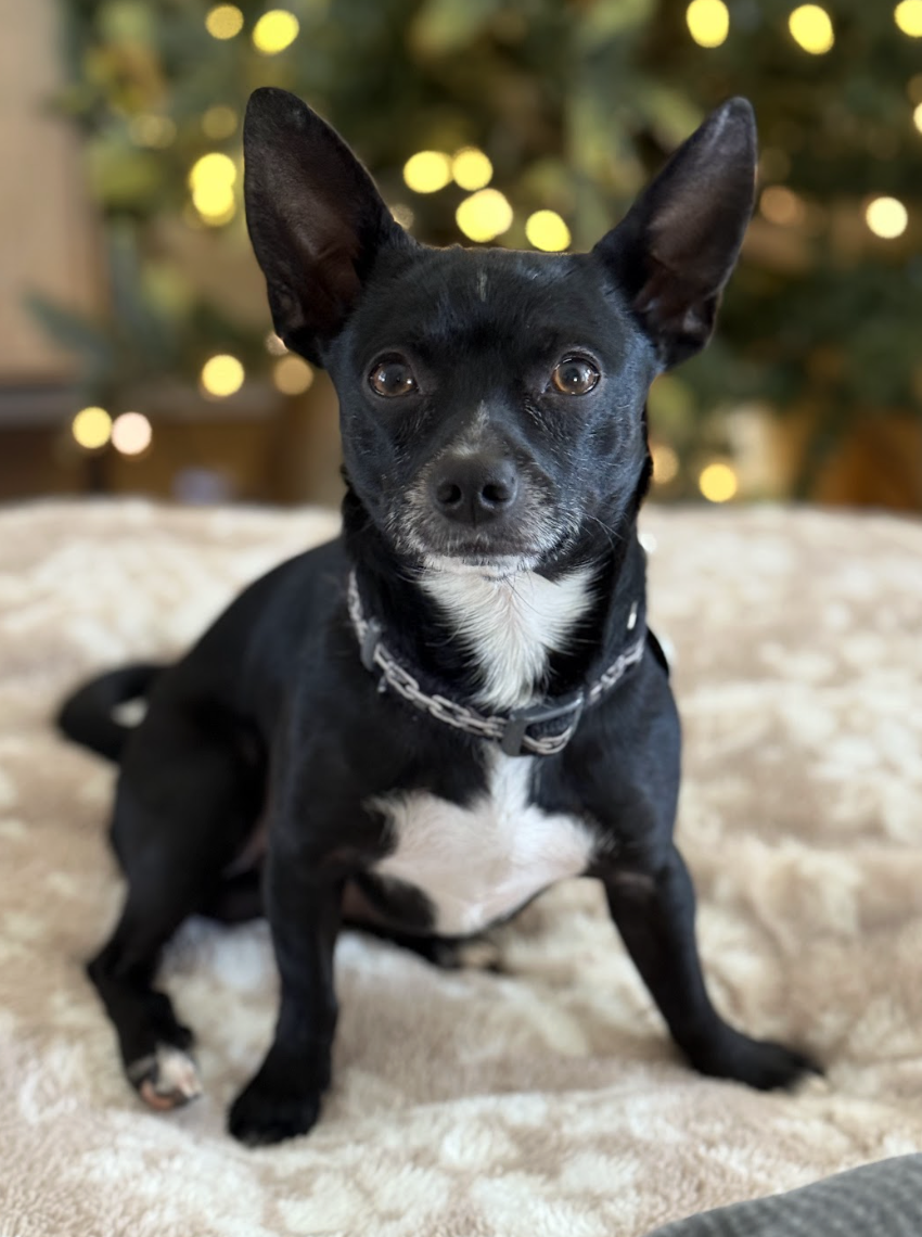 Screenshot 2026-01-14 at 1.39.50 PM.png