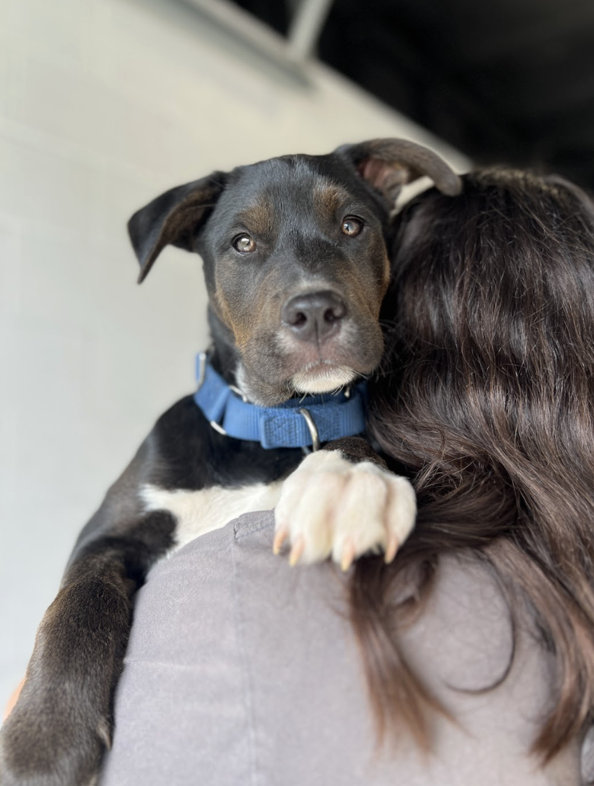 Screenshot 2026-04-03 at 2.16.03 PM.png