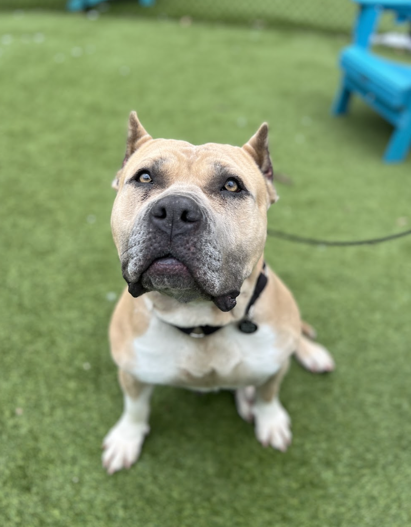 Screenshot 2026-01-30 at 4.51.29 PM.png